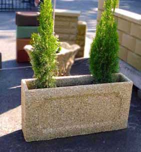 ghiveci flori ornamental